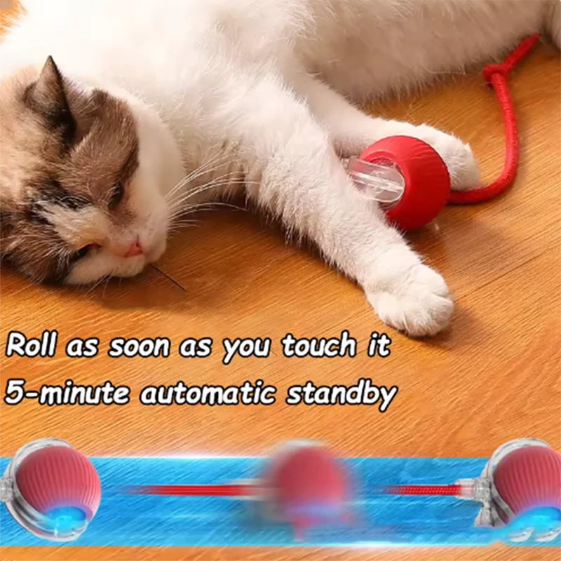 CatPlay Automatic Teasing Toy Set™