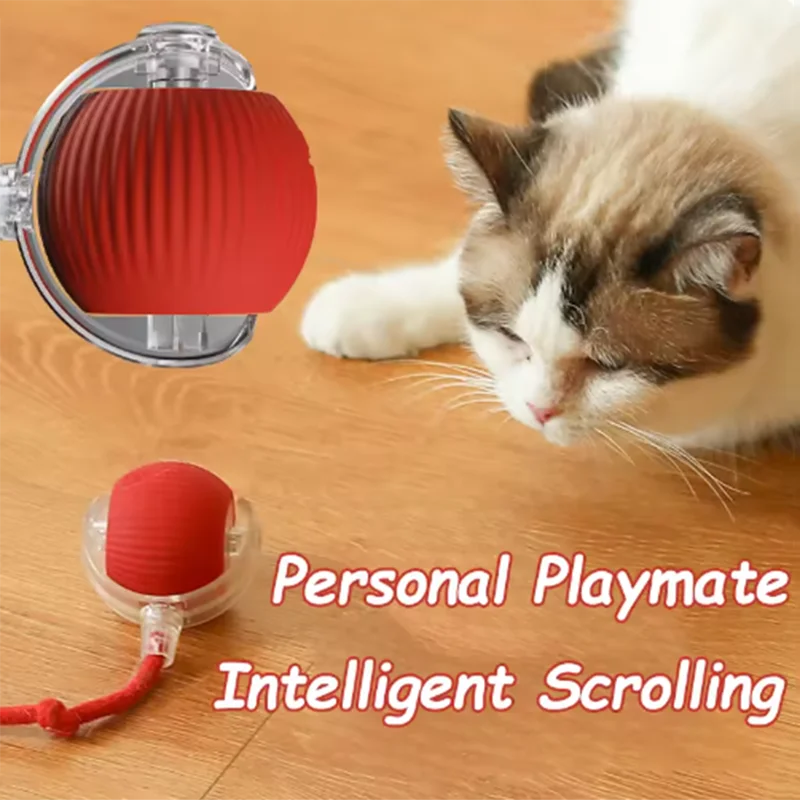 CatPlay Automatic Teasing Toy Set™