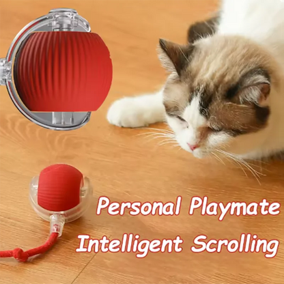 CatPlay Automatic Teasing Toy Set™